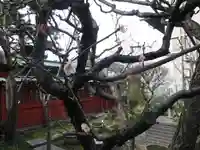 大巧寺のその他建物