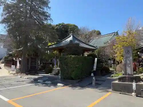 海蔵院の{uncategorized: "未分類", other: "その他", undefined: "問題あり", building: "その他建物", grave: "お墓", sacred_gate: "鳥居", guardian: "狛犬", statue: "像", buddha: "仏像", history: "歴史", nature: "自然", garden: "庭園", animal: "動物", pagoda: "塔", temizu: "手水舎", mountain_gate: "山門・神門", sanctuary: "本殿・本堂", subordinate: "末社・摂社", art: "芸術", scenery: "景色", jizo: "地蔵", ema: "絵馬", goshuin: "御朱印", omikuji: "おみくじ", items: "授与品その他", amulet: "お守り", goshuincho: "御朱印帳", eats: "食事", festival: "お祭り", votive_dance: "神楽", shichigosan: "七五三参", wedding: "結婚式", experience: "体験その他", initially: "初詣", around: "周辺", anti_infection: "感染症対策"}