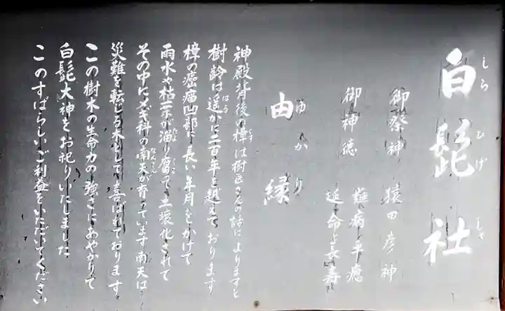 我堂八幡宮の歴史