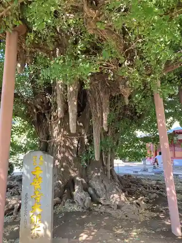千葉寺(千葉県)