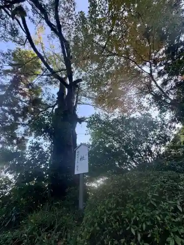 葛城一言主神社の{uncategorized: "未分類", other: "その他", undefined: "問題あり", building: "その他建物", grave: "お墓", sacred_gate: "鳥居", guardian: "狛犬", statue: "像", buddha: "仏像", history: "歴史", nature: "自然", garden: "庭園", animal: "動物", pagoda: "塔", temizu: "手水舎", mountain_gate: "山門・神門", sanctuary: "本殿・本堂", subordinate: "末社・摂社", art: "芸術", scenery: "景色", jizo: "地蔵", ema: "絵馬", goshuin: "御朱印", omikuji: "おみくじ", items: "授与品その他", amulet: "お守り", goshuincho: "御朱印帳", eats: "食事", festival: "お祭り", votive_dance: "神楽", shichigosan: "七五三参", wedding: "結婚式", experience: "体験その他", initially: "初詣", around: "周辺", anti_infection: "感染症対策"}