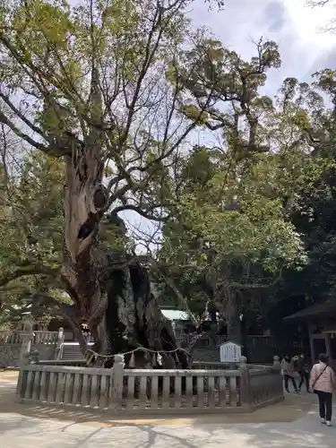 大山祇神社(愛媛県)