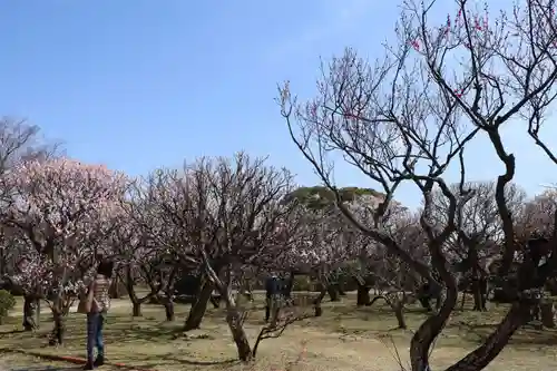 防府天満宮(山口県)