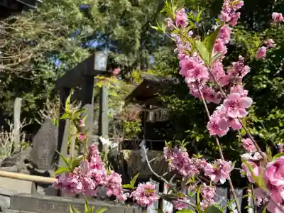 素盞雄神社(東京都)