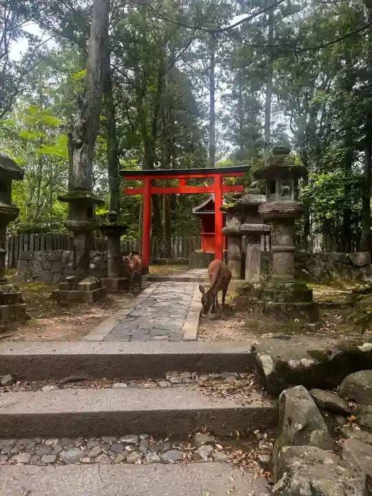 壺神神社 (春日大社末社)の{uncategorized: "未分類", other: "その他", undefined: "問題あり", building: "その他建物", grave: "お墓", sacred_gate: "鳥居", guardian: "狛犬", statue: "像", buddha: "仏像", history: "歴史", nature: "自然", garden: "庭園", animal: "動物", pagoda: "塔", temizu: "手水舎", mountain_gate: "山門・神門", sanctuary: "本殿・本堂", subordinate: "末社・摂社", art: "芸術", scenery: "景色", jizo: "地蔵", ema: "絵馬", goshuin: "御朱印", omikuji: "おみくじ", items: "授与品その他", amulet: "お守り", goshuincho: "御朱印帳", eats: "食事", festival: "お祭り", votive_dance: "神楽", shichigosan: "七五三参", wedding: "結婚式", experience: "体験その他", initially: "初詣", around: "周辺", anti_infection: "感染症対策"}