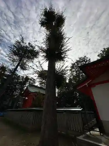 小野神社(東京都)