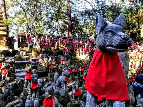 豊川閣　妙厳寺の狛犬