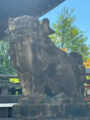 京都乃木神社の狛犬