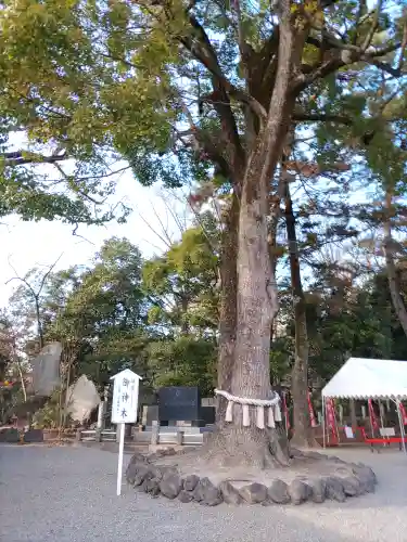 玉村八幡宮の庭園