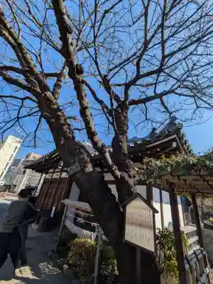 感通寺(東京都)