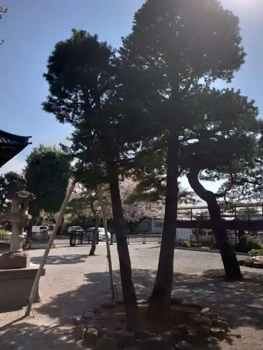 天増寺のその他建物