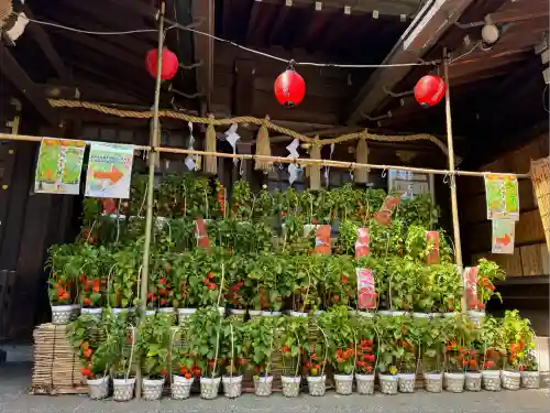 検見川神社(千葉県)