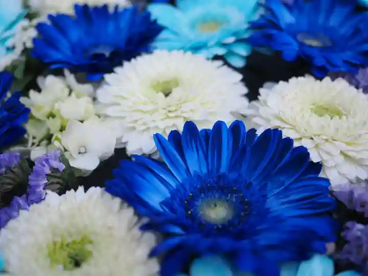 成田山深川不動堂(新勝寺東京別院)(東京都)