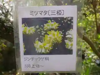 光則寺のその他建物