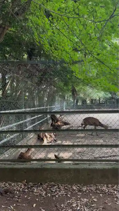 鹿島神宮(茨城県)