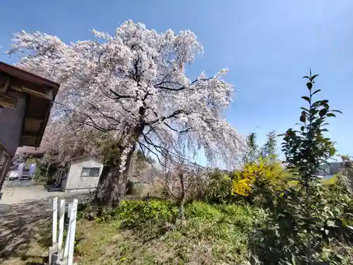 羽生天神社(宮城県)