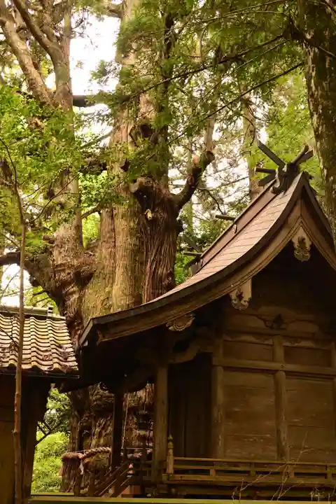 大杵社(大分県)