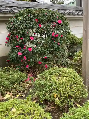 薬師院(神奈川県)