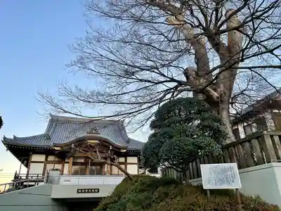 延命寺(埼玉県)