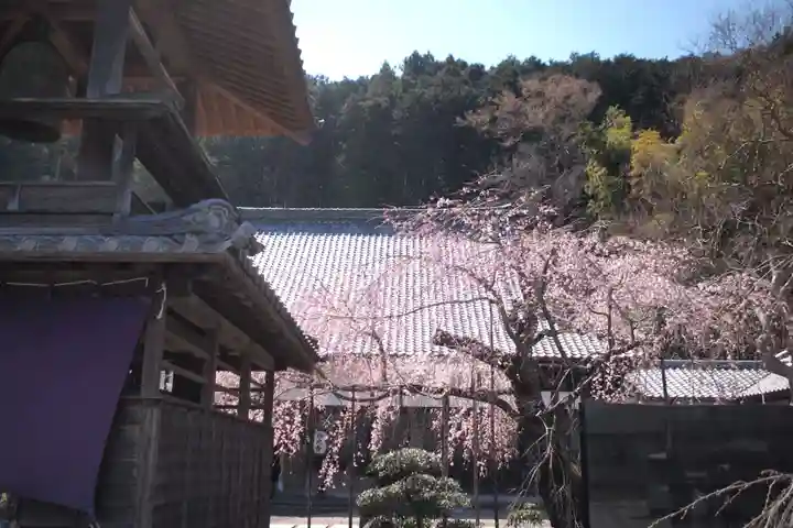 円光寺のその他建物