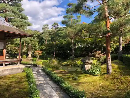 南禅寺の庭園