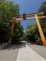 川越氷川神社(埼玉県)