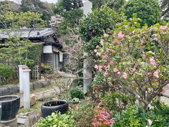 日蓮宗龍口山本龍寺の{uncategorized: "未分類", other: "その他", undefined: "問題あり", building: "その他建物", grave: "お墓", sacred_gate: "鳥居", guardian: "狛犬", statue: "像", buddha: "仏像", history: "歴史", nature: "自然", garden: "庭園", animal: "動物", pagoda: "塔", temizu: "手水舎", mountain_gate: "山門・神門", sanctuary: "本殿・本堂", subordinate: "末社・摂社", art: "芸術", scenery: "景色", jizo: "地蔵", ema: "絵馬", goshuin: "御朱印", omikuji: "おみくじ", items: "授与品その他", amulet: "お守り", goshuincho: "御朱印帳", eats: "食事", festival: "お祭り", votive_dance: "神楽", shichigosan: "七五三参", wedding: "結婚式", experience: "体験その他", initially: "初詣", around: "周辺", anti_infection: "感染症対策"}