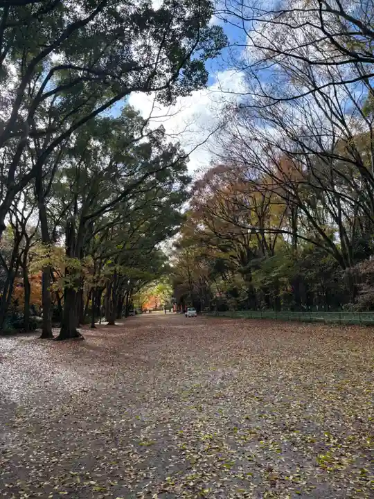 賀茂御祖神社(下鴨神社)の景色