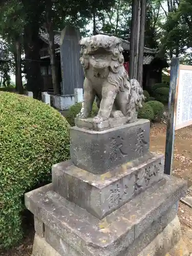 深作氷川神社の狛犬