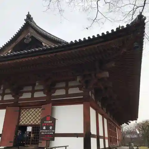 東寺（教王護国寺）の本殿・本堂
