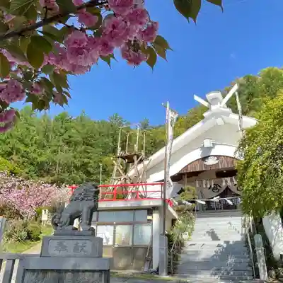 松尾宇蛇神社・白蛇神社の狛犬
