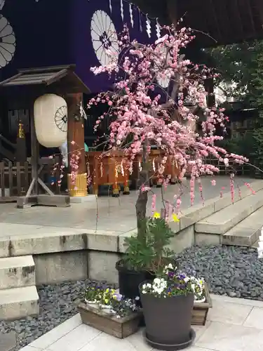 東京大神宮の庭園