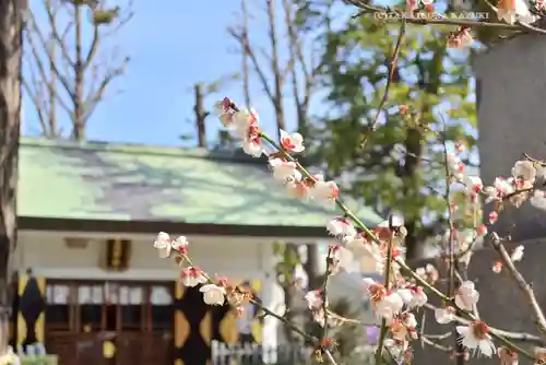 下神明天祖神社(東京都)