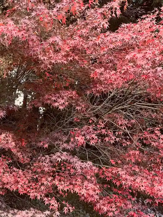 滑川神社 - 仕事と子どもの守り神の自然