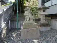 白金氷川神社の狛犬