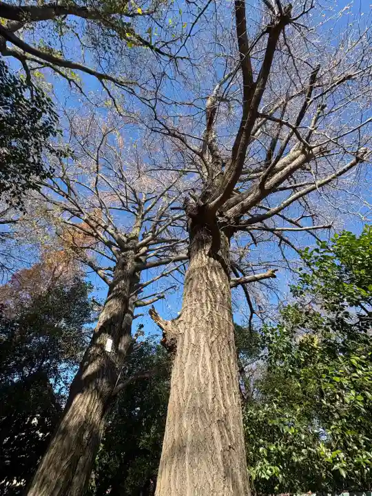 稲荷神社(東京都)