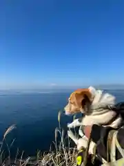 江島神社(神奈川県)