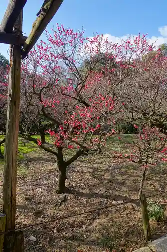 道明寺天満宮の庭園