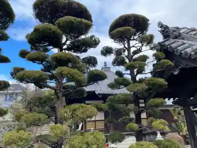 不断寺(兵庫県)