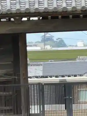 大樹寺（松安院大樹寺）の{uncategorized: "未分類", other: "その他", undefined: "問題あり", building: "その他建物", grave: "お墓", sacred_gate: "鳥居", guardian: "狛犬", statue: "像", buddha: "仏像", history: "歴史", nature: "自然", garden: "庭園", animal: "動物", pagoda: "塔", temizu: "手水舎", mountain_gate: "山門・神門", sanctuary: "本殿・本堂", subordinate: "末社・摂社", art: "芸術", scenery: "景色", jizo: "地蔵", ema: "絵馬", goshuin: "御朱印", omikuji: "おみくじ", items: "授与品その他", amulet: "お守り", goshuincho: "御朱印帳", eats: "食事", festival: "お祭り", votive_dance: "神楽", shichigosan: "七五三参", wedding: "結婚式", experience: "体験その他", initially: "初詣", around: "周辺", anti_infection: "感染症対策"}