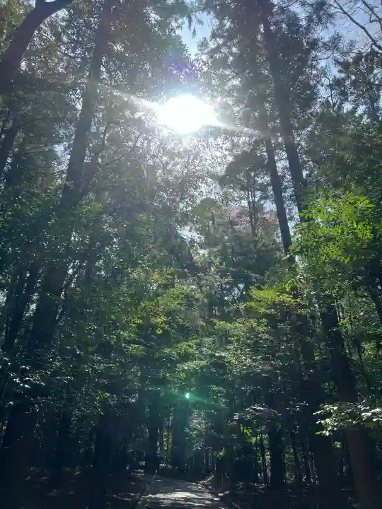 伊勢神宮内宮(皇大神宮)の{uncategorized: "未分類", other: "その他", undefined: "問題あり", building: "その他建物", grave: "お墓", sacred_gate: "鳥居", guardian: "狛犬", statue: "像", buddha: "仏像", history: "歴史", nature: "自然", garden: "庭園", animal: "動物", pagoda: "塔", temizu: "手水舎", mountain_gate: "山門・神門", sanctuary: "本殿・本堂", subordinate: "末社・摂社", art: "芸術", scenery: "景色", jizo: "地蔵", ema: "絵馬", goshuin: "御朱印", omikuji: "おみくじ", items: "授与品その他", amulet: "お守り", goshuincho: "御朱印帳", eats: "食事", festival: "お祭り", votive_dance: "神楽", shichigosan: "七五三参", wedding: "結婚式", experience: "体験その他", initially: "初詣", around: "周辺", anti_infection: "感染症対策"}