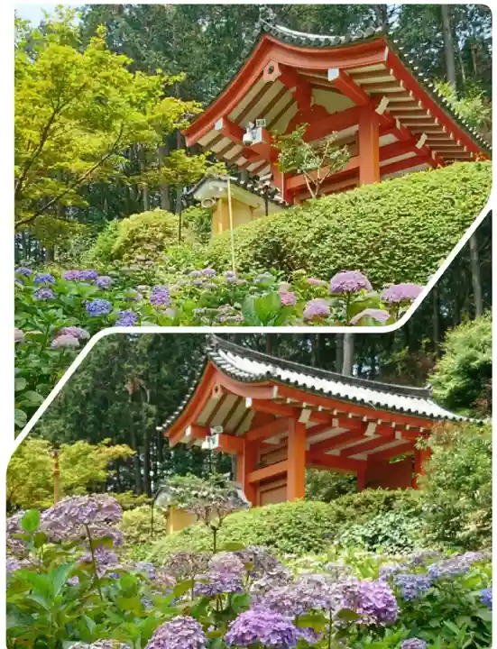 三室戸寺(京都府)
