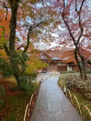 宝厳院(京都府)