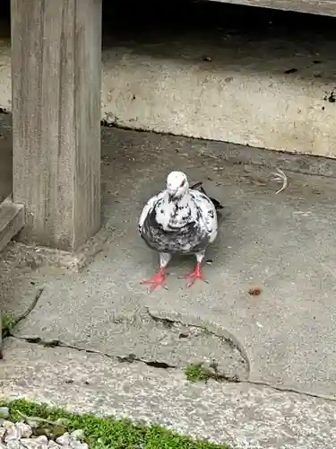 神泉苑(京都府)