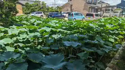 雲龍山 本證寺(愛知県)