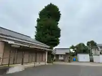 大杉神社(千葉県)