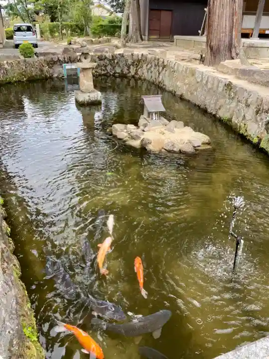 大宮賣神社の動物