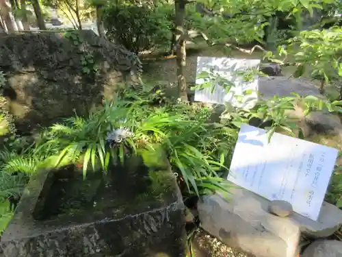 武田神社の庭園