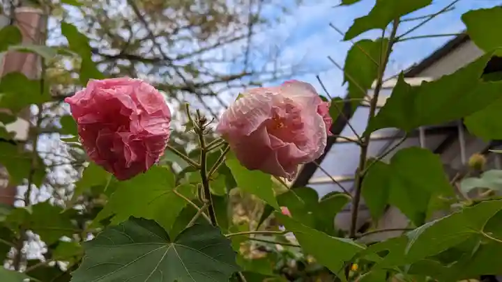 大豊神社(京都府)