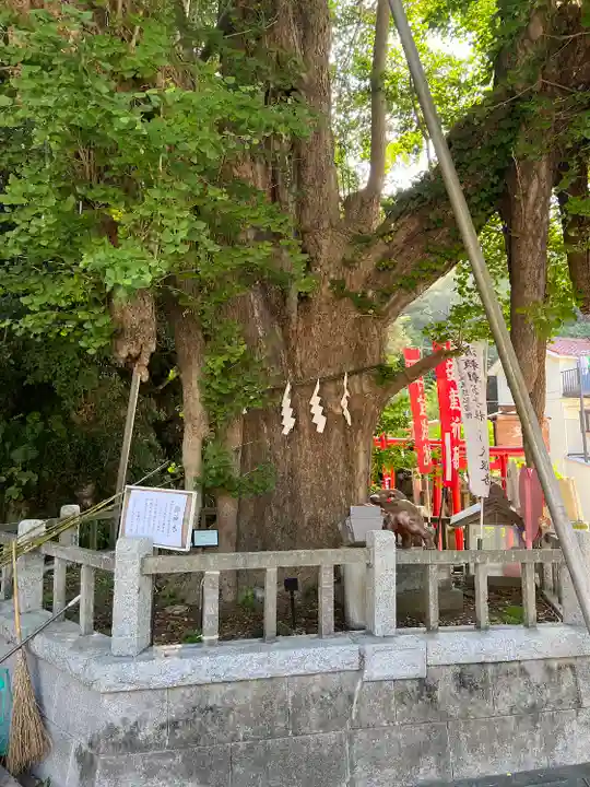 海南神社(神奈川県)